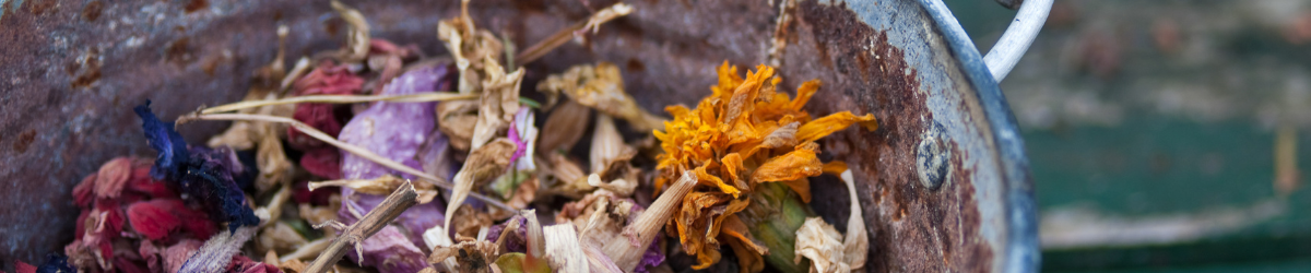 The Art and Essence of Potpourri: A Fragrant Journey